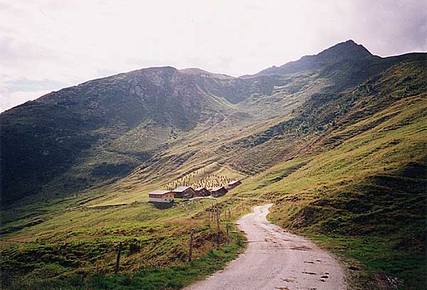 Zillertal-Urlaub, 09. bis 13. August 2000 - Bild 1