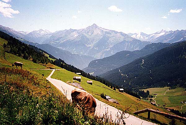 Zillertal-Urlaub, 09. bis 13. August 2000 - Bild 3