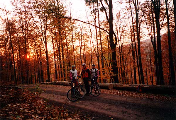 Rennsteig-Dolmar-Weg, 22. Oktober 2000 - Bild 6